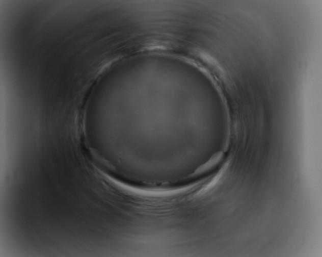 X0000093171353200710031456