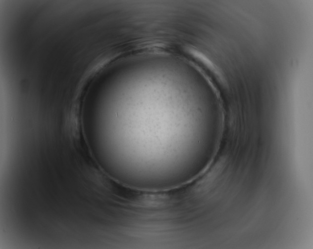 X0000093171354200710031456