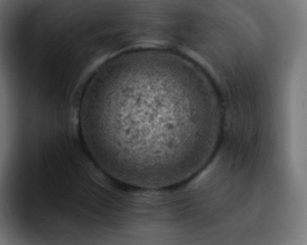X0000093171355200710031456