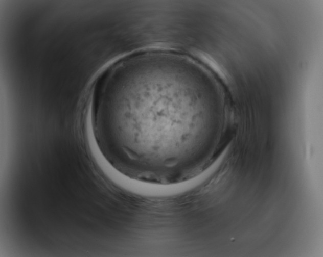 X0000093171356200710031456