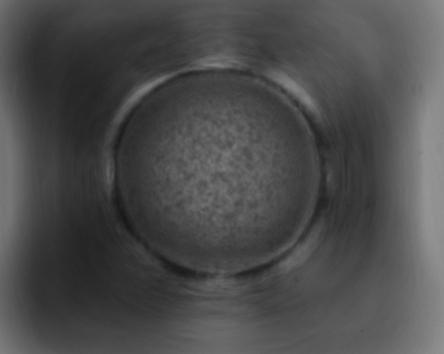 X0000093171358200710031456