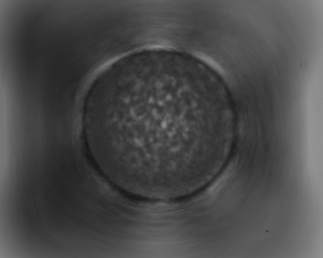 X0000093171359200710031456