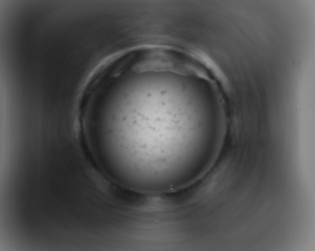 X0000093171360200710031456