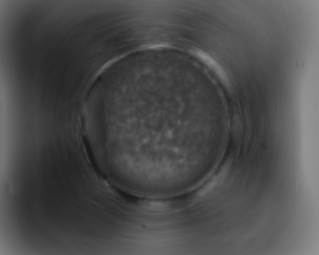 X0000093171361200710031456