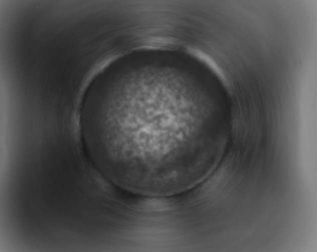 X0000093171362200710031456