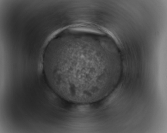 X0000093171363200710031456
