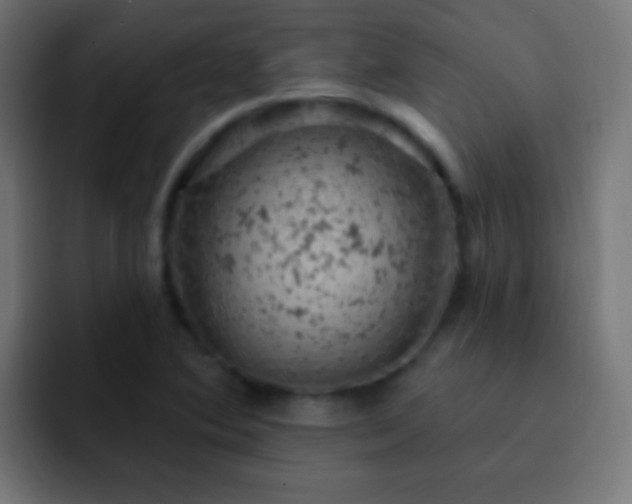 X0000093171364200710031456
