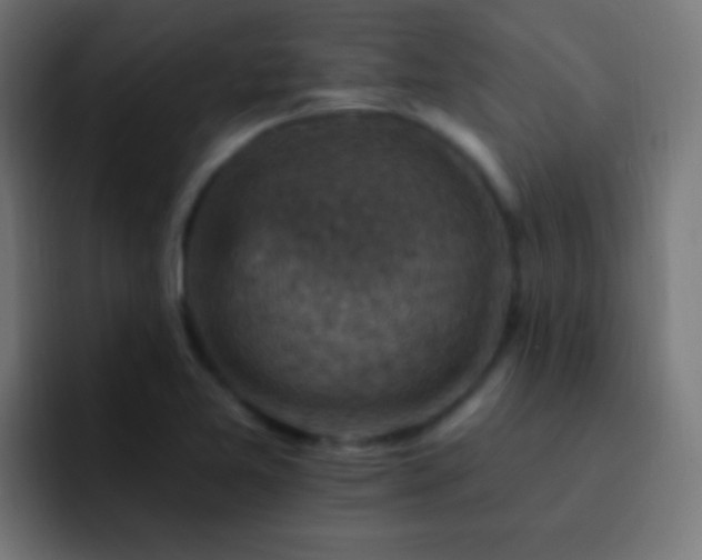 X0000093171365200710031456