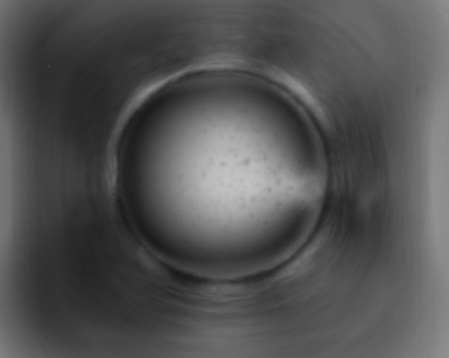 X0000093171366200710031456