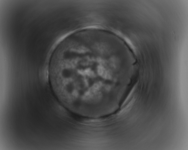 X0000093171367200710031456