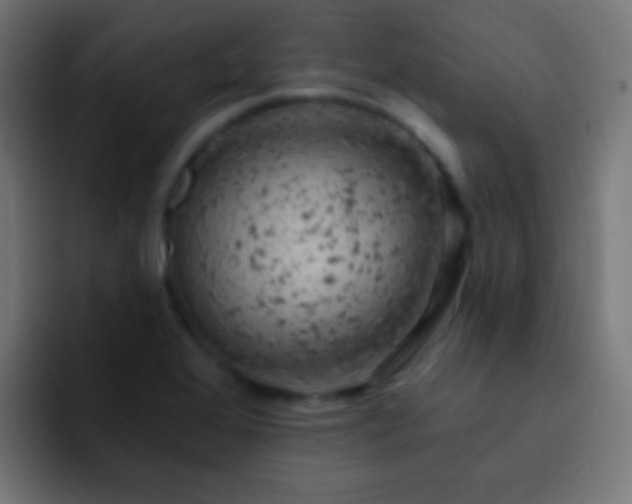 X0000093171368200710031456
