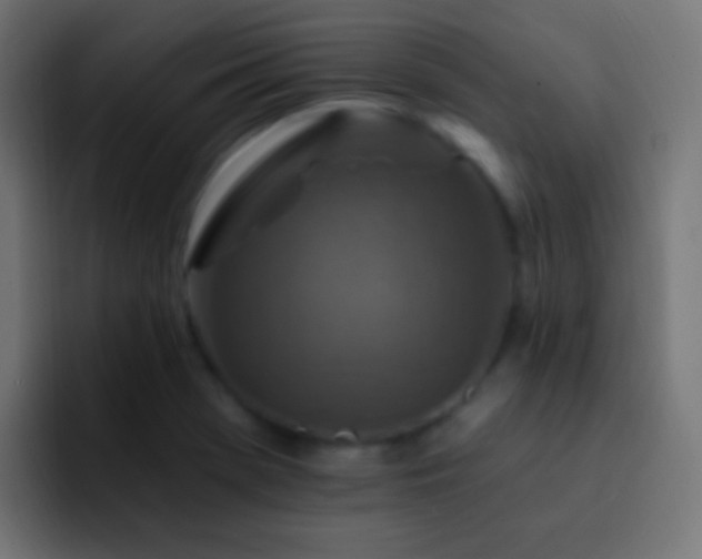 X0000093171369200710031456