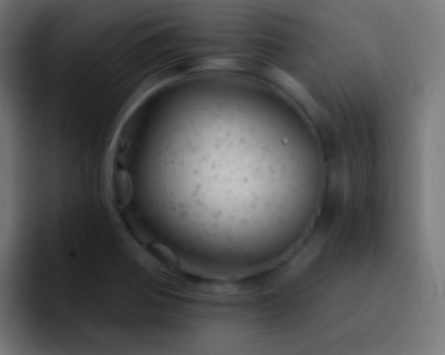 X0000093171370200710031456