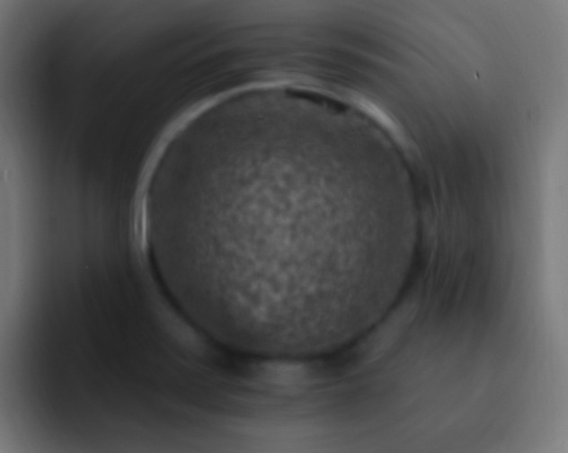 X0000093171371200710031456