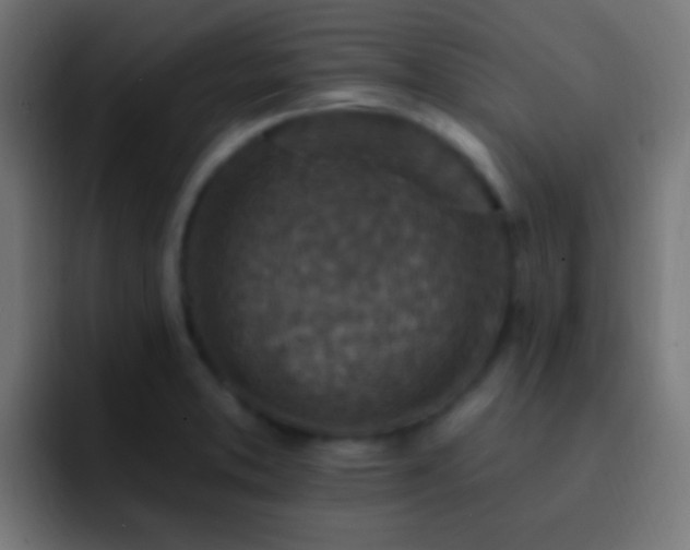 X0000093171373200710031456