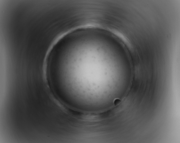 X0000093171374200710031456