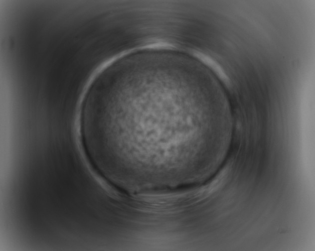 X0000093171375200710031456