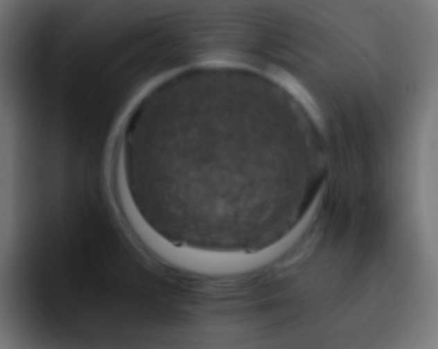 X0000093171376200710031456