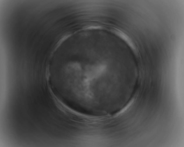 X0000093171377200710031456