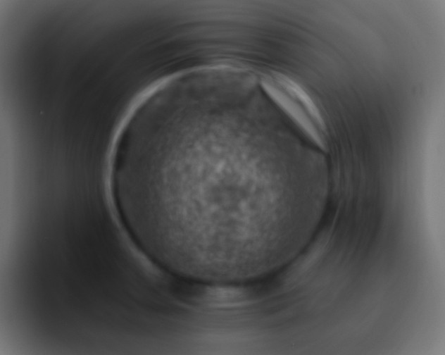 X0000093171379200710031456