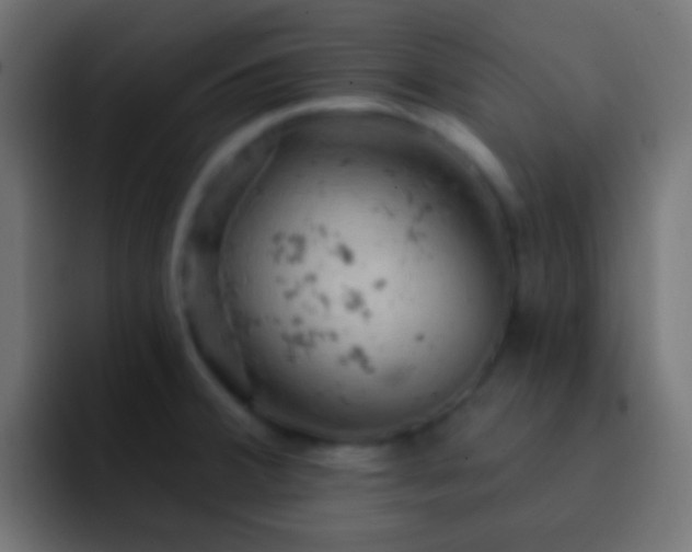 X0000093171380200710031456