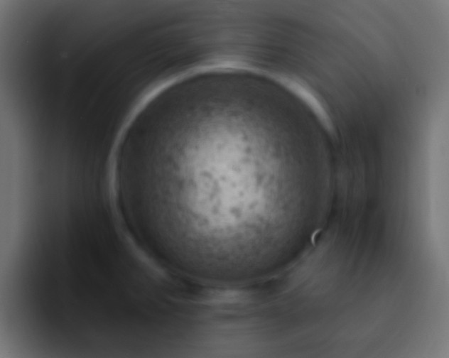 X0000093171382200710031456