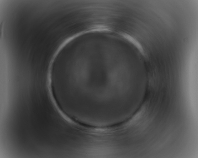 X0000093171383200710031456