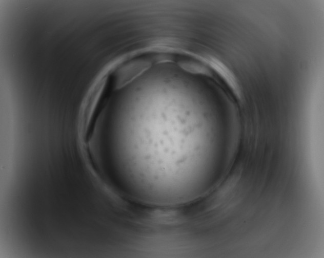 X0000093171384200710031456