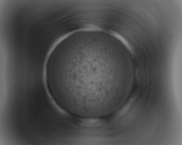 X0000093171387200710031456