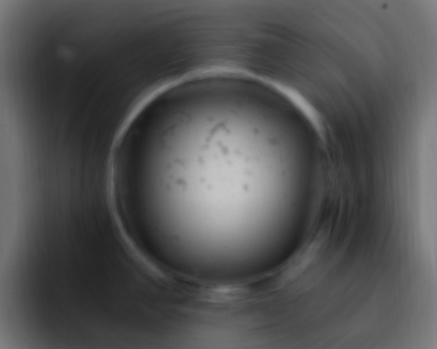 X0000093171390200710031456