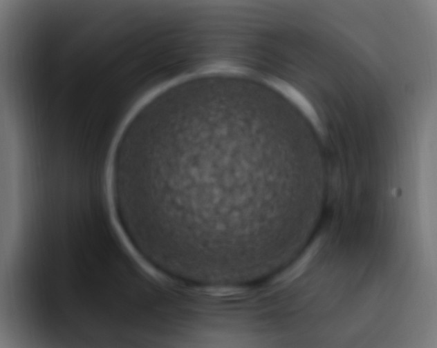 X0000093171391200710031456