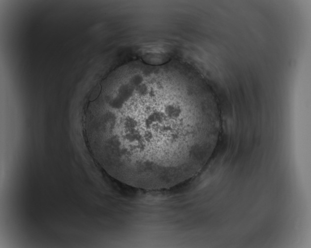 X0000093171393200710031455