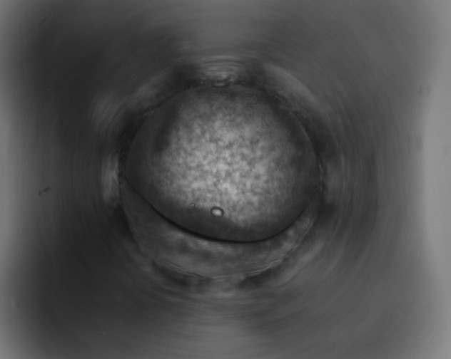 X0000093171394200710031455