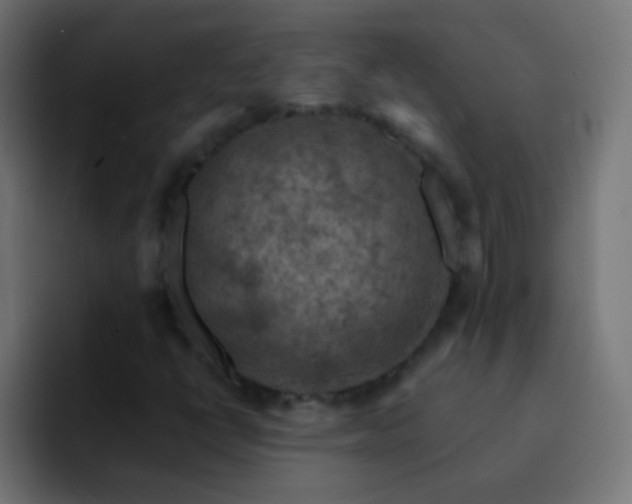 X0000093171398200710031455