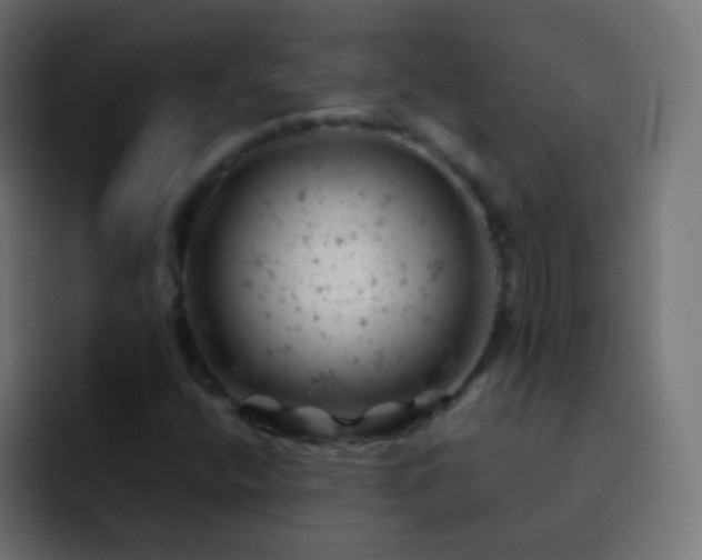 X0000093171400200710031455