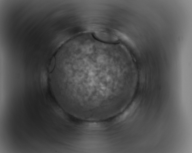 X0000093171401200710031455
