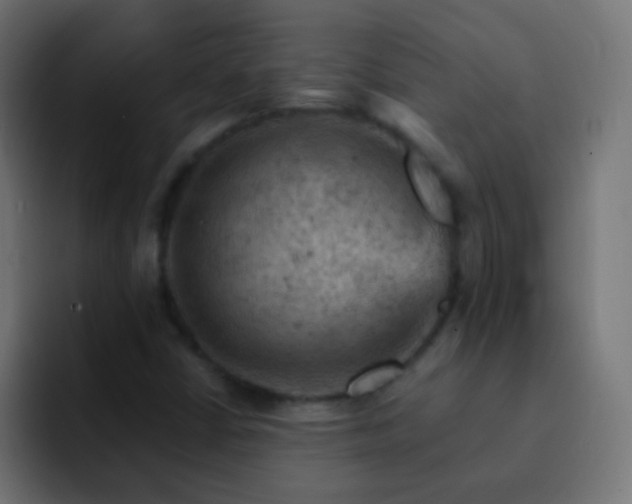 X0000093171402200710031455