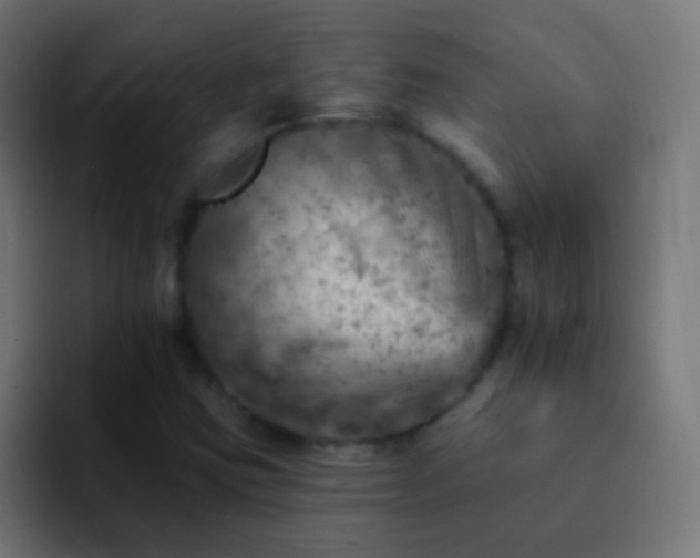 X0000093171403200710031455