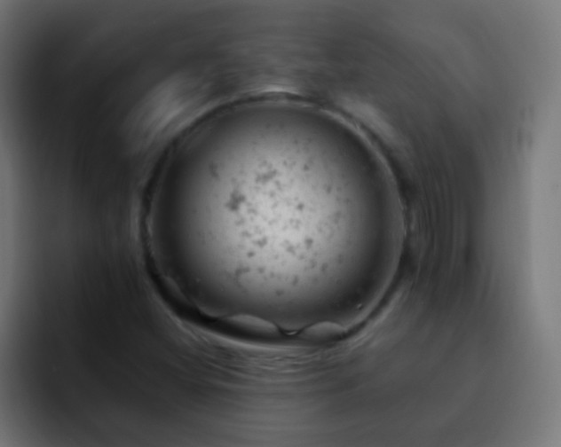 X0000093171404200710031455