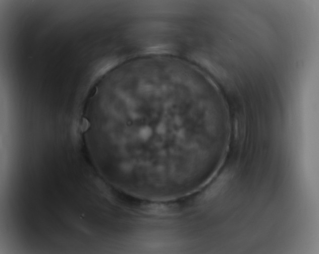 X0000093171405200710031455