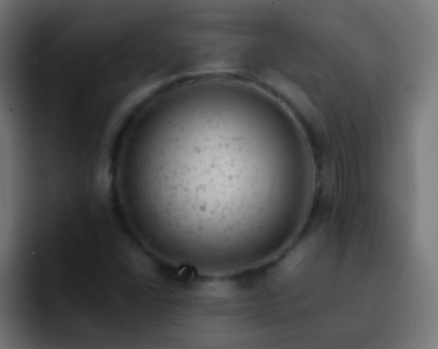 X0000093171406200710031455