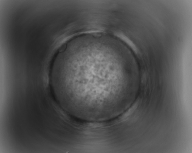 X0000093171407200710031455