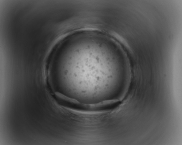 X0000093171408200710031455