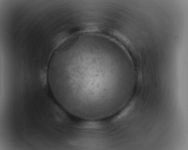 X0000093171409200710031455
