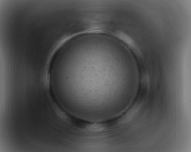 X0000093171414200710031455