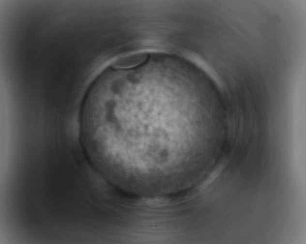 X0000093171415200710031455