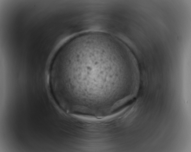 X0000093171416200710031456