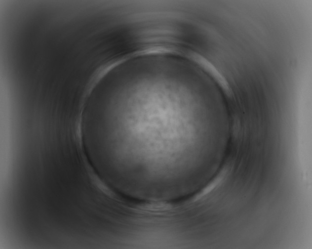 X0000093171417200710031456