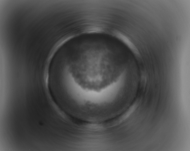 X0000093171418200710031456