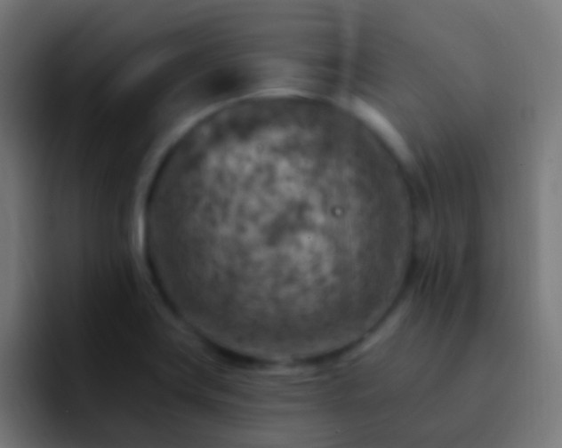 X0000093171419200710031456